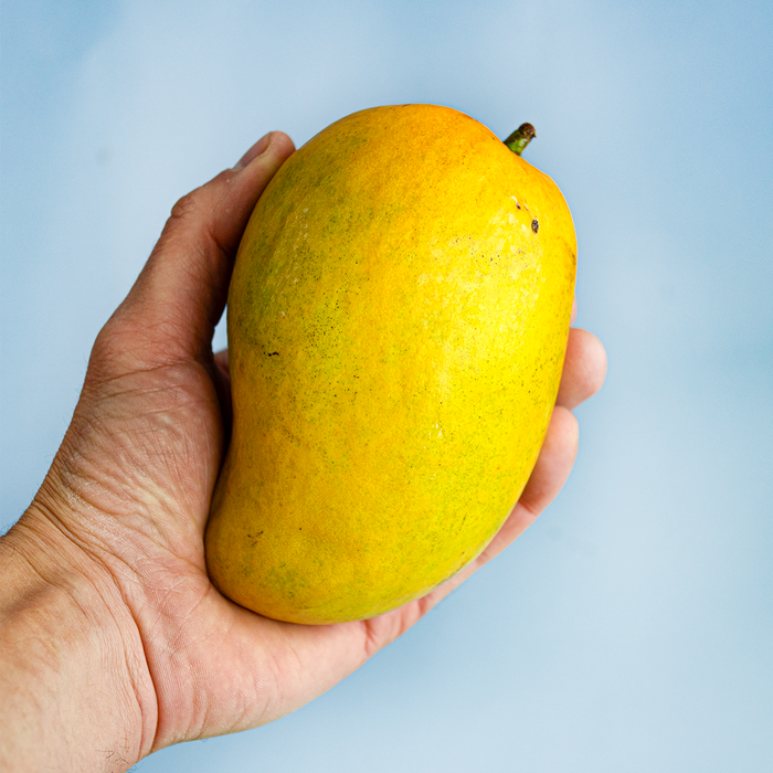 Ataulfo Mango (8.8lbs)