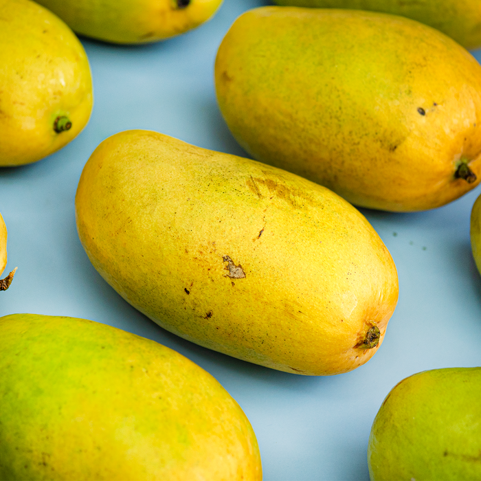 Ataulfo Mango (8.8lbs)