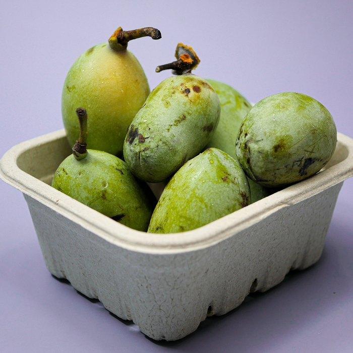 Pawpaw (2lb)