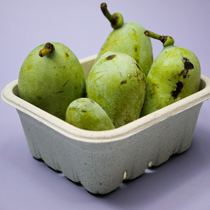 Pawpaw (2lb)