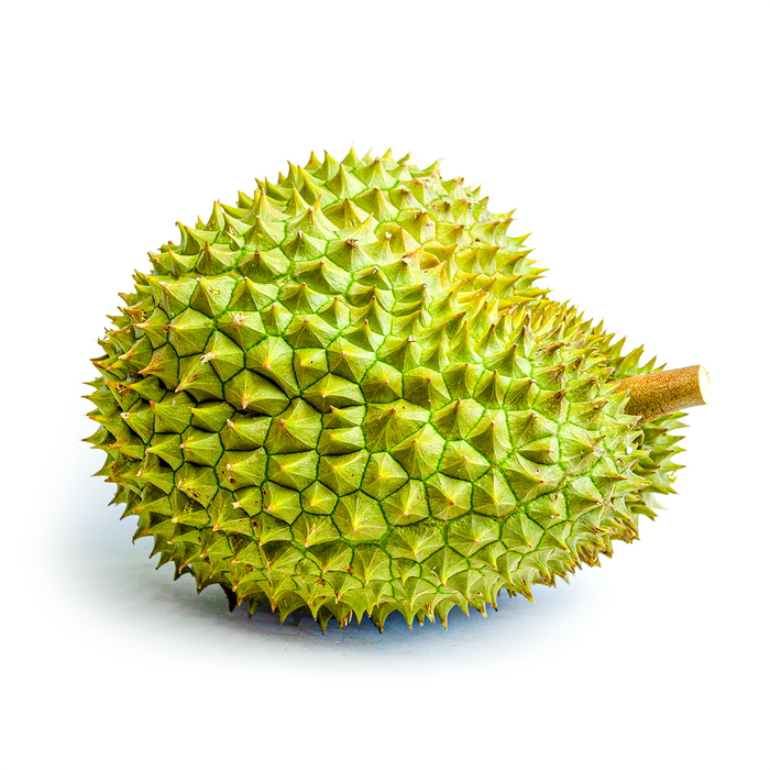 RI-6 Durian (5lb)