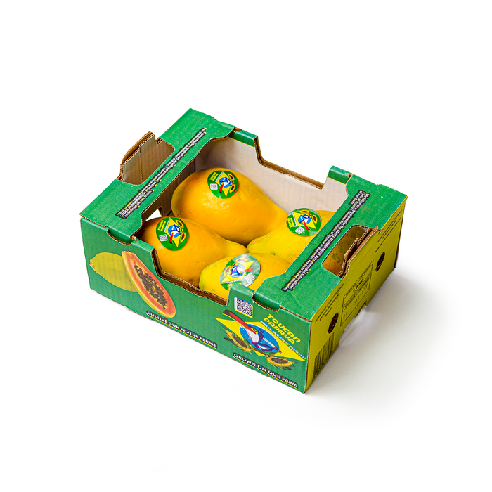 Alianca Papaya