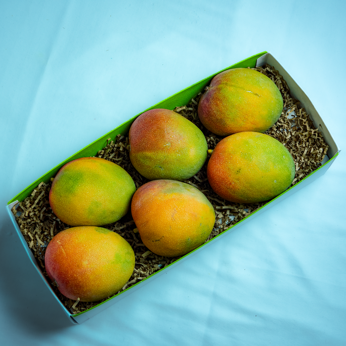 Mango; Brazilian Kent