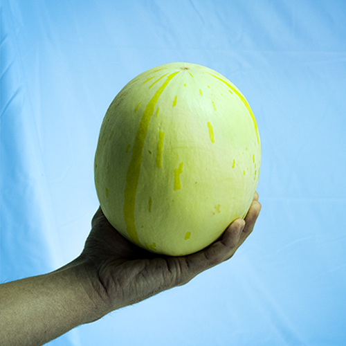 Fruter Fresh Melon Delivery