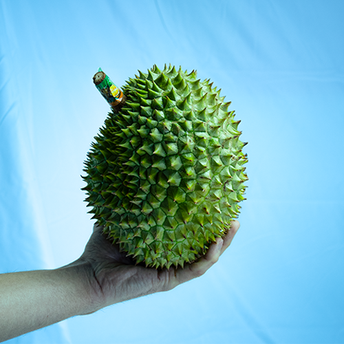 Durian — Fruter