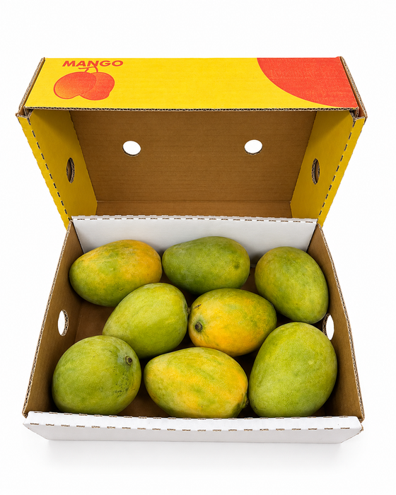 Mingolo Mango