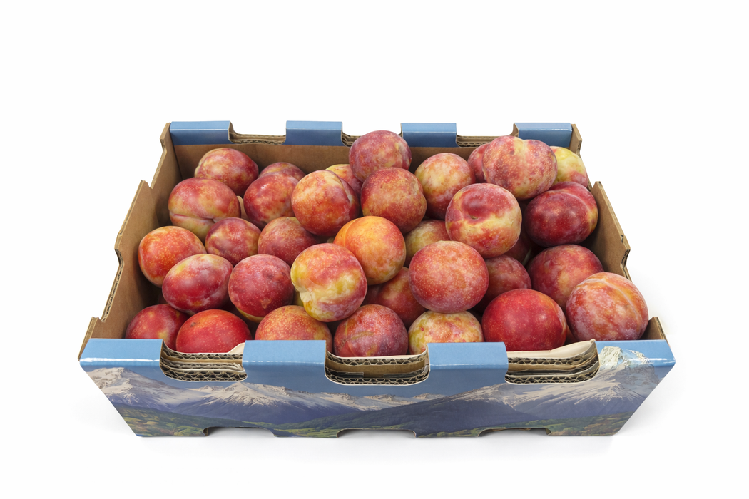 Rainier Plums (2kg)