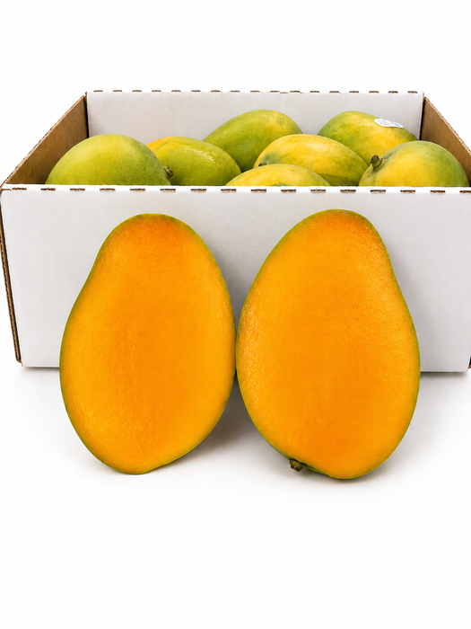 Mingolo Mango