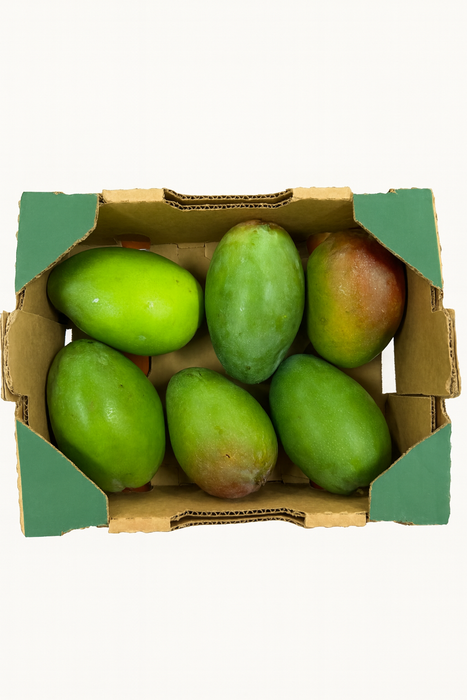 Dominican Kent Mango
