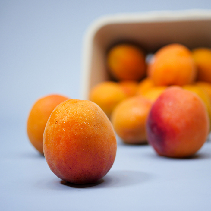 Apricots (1lb)