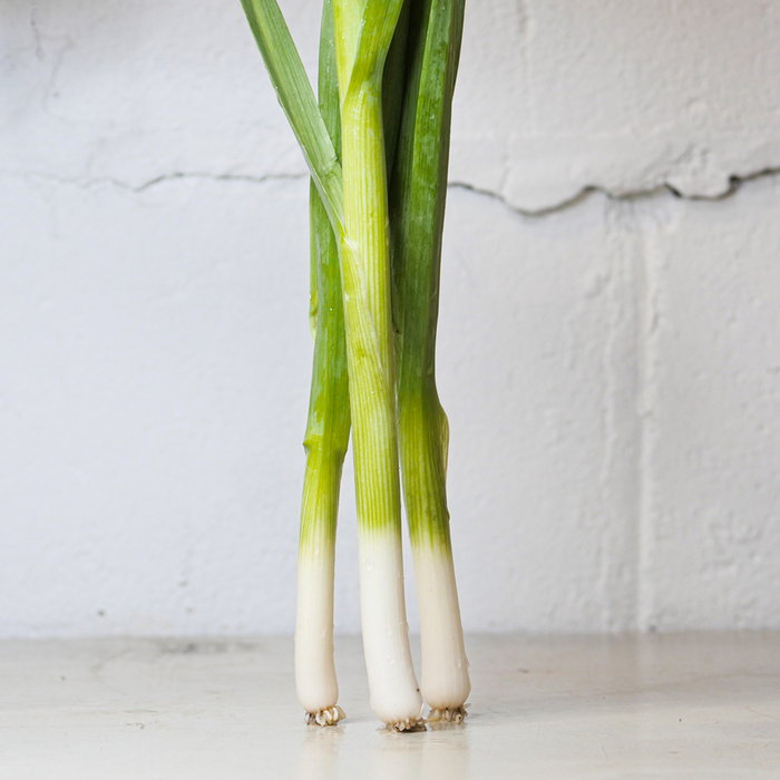 Baby Leeks (lb)