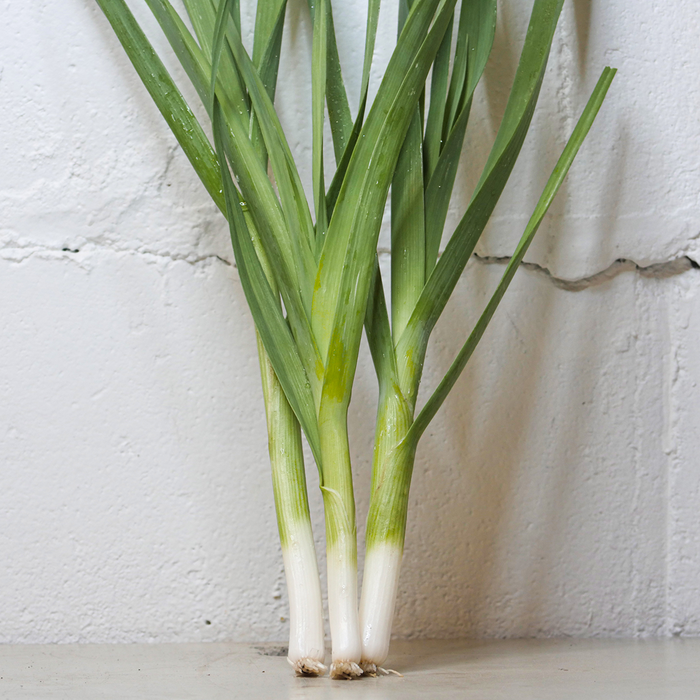 Baby Leeks (lb)