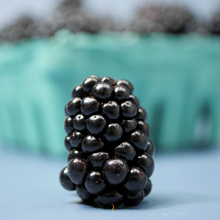 Blackberries (5oz)