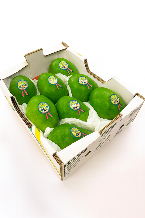 Tropical Jumbo Avocados