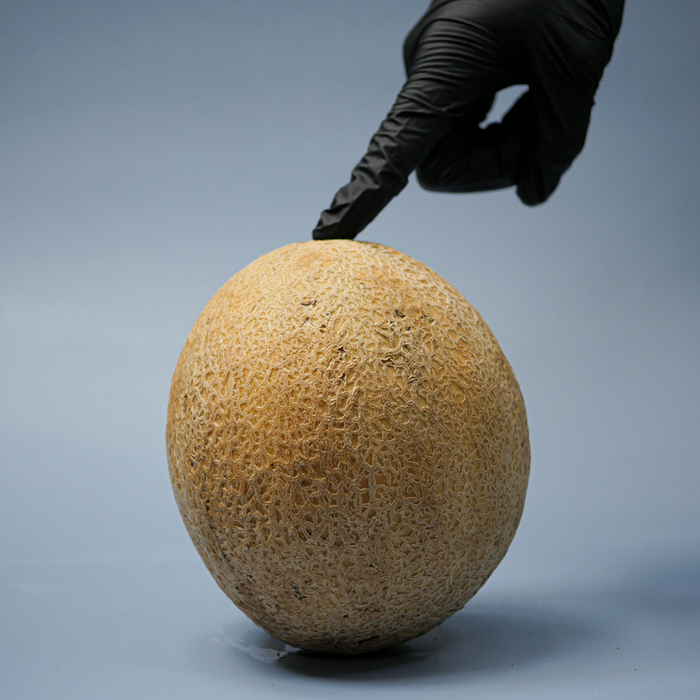 Cantaloupe; Organic