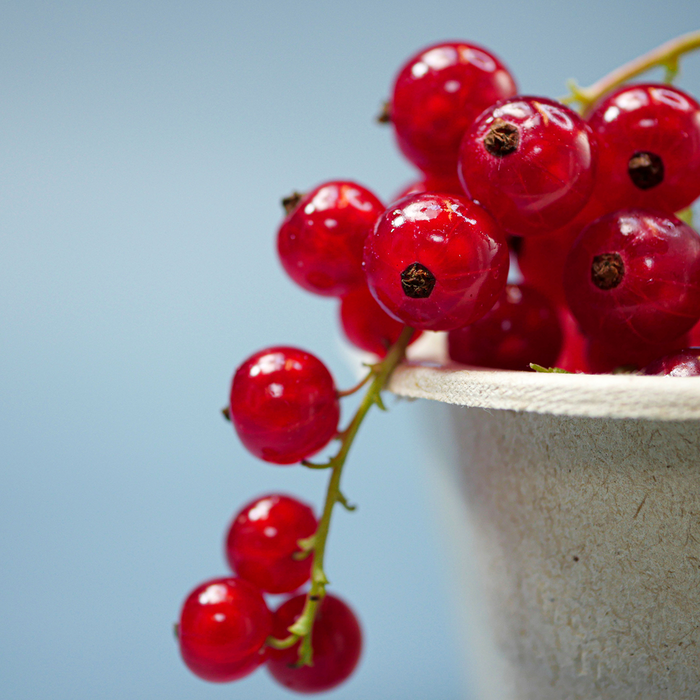 Red Currants (10oz)