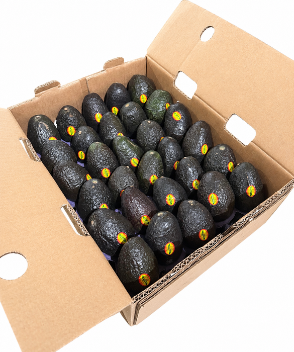 Lucky 7's Hass Avocado Size 60