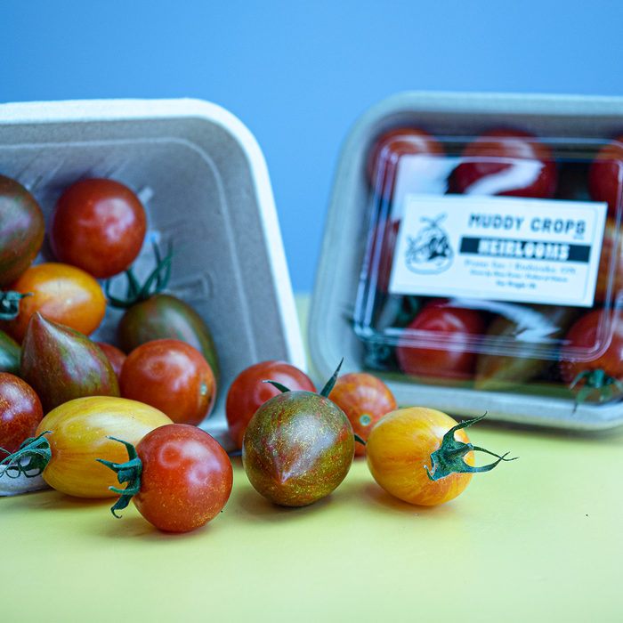 西红柿，土壤种植的传家宝（1 磅）