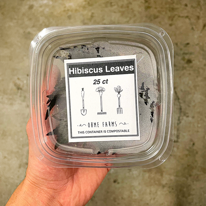 Hibiscus Leaves (25ct)