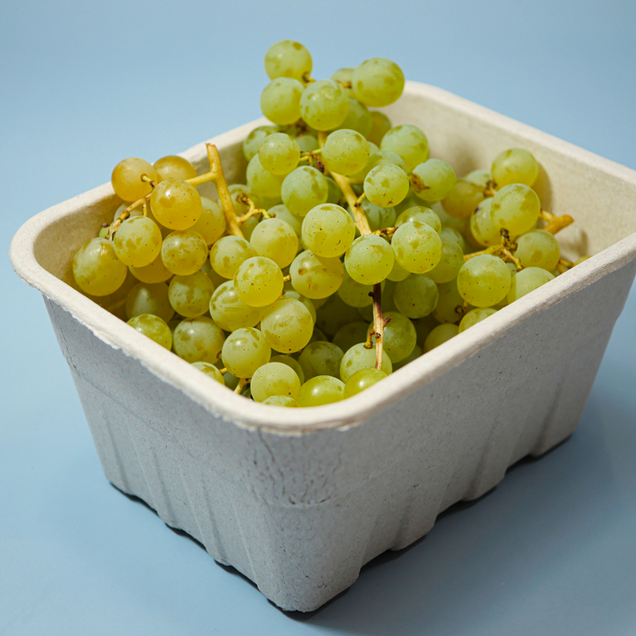 "Himrod" Grapes; Organic