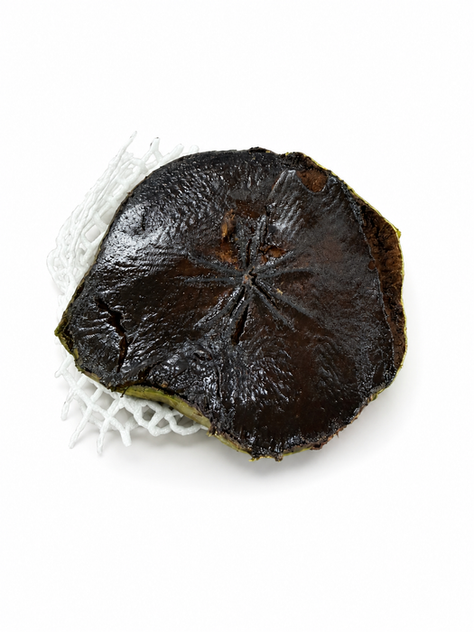 Black Sapote