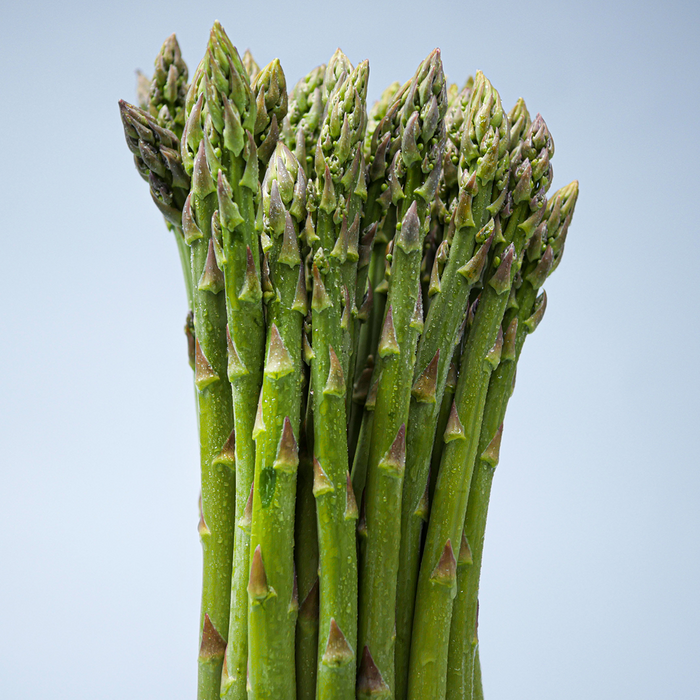 Asparagus (lb)