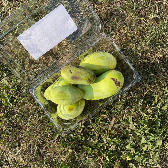 木瓜 (1 磅)