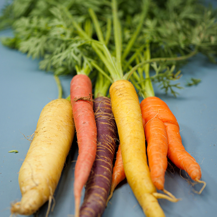 Rainbow Carrots (lb)