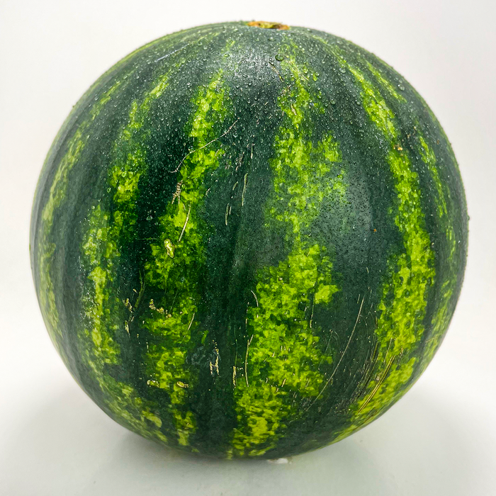 Seedless Mini Watermelon