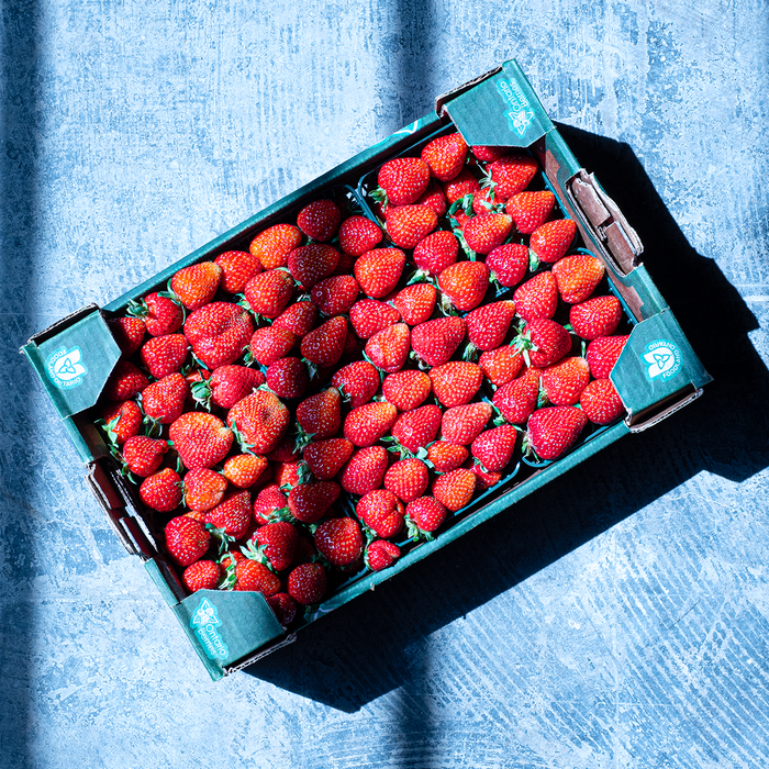 Strawberries; "Albion" (1lb)