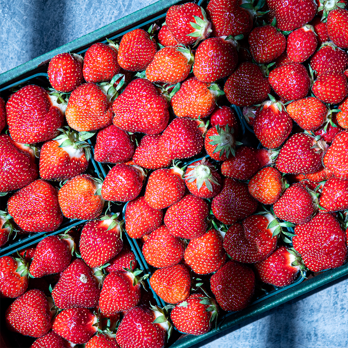 草莓，六月轴承； “宝石”