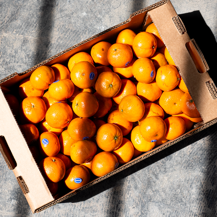 默科特柑橘（22磅）