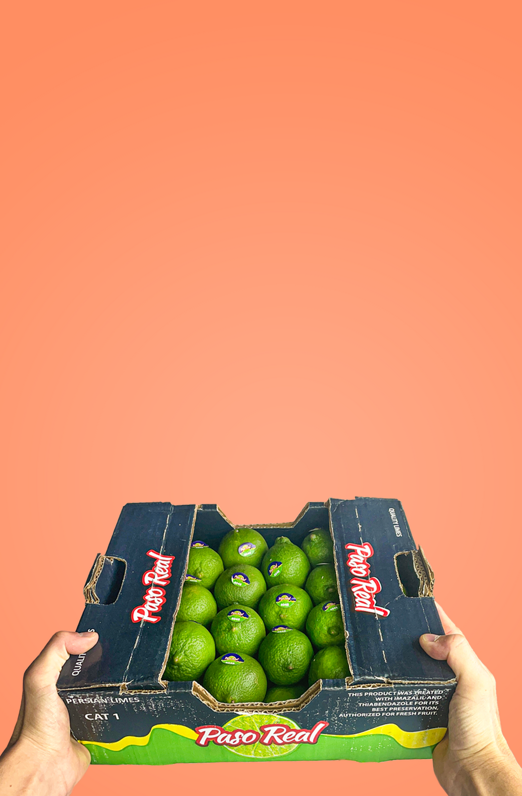 Fruter Toronto Speciality Fruit Delivery