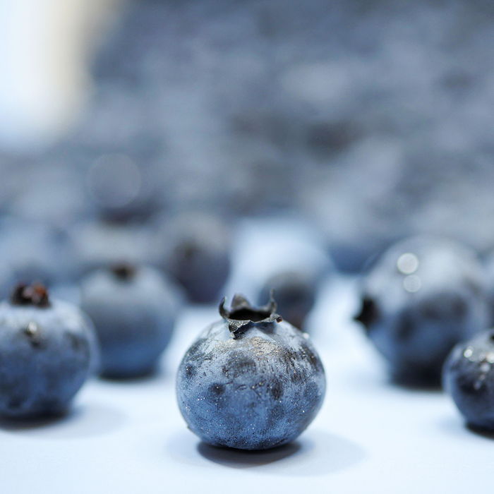 Wild Blueberries (6oz)