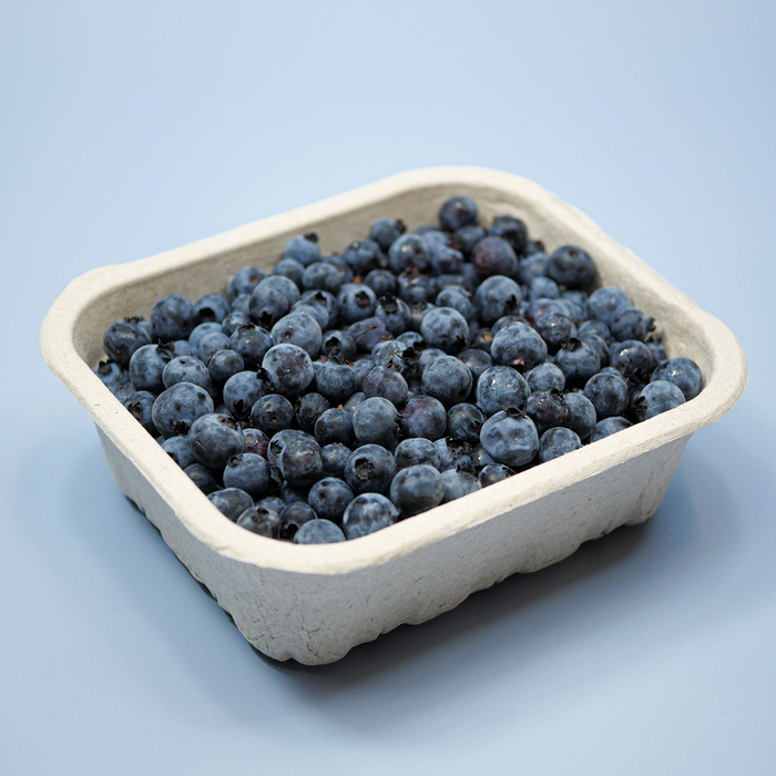 野生蓝莓（6盎司）