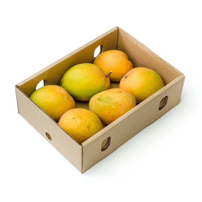 Alphonso Mango (1.5kg)