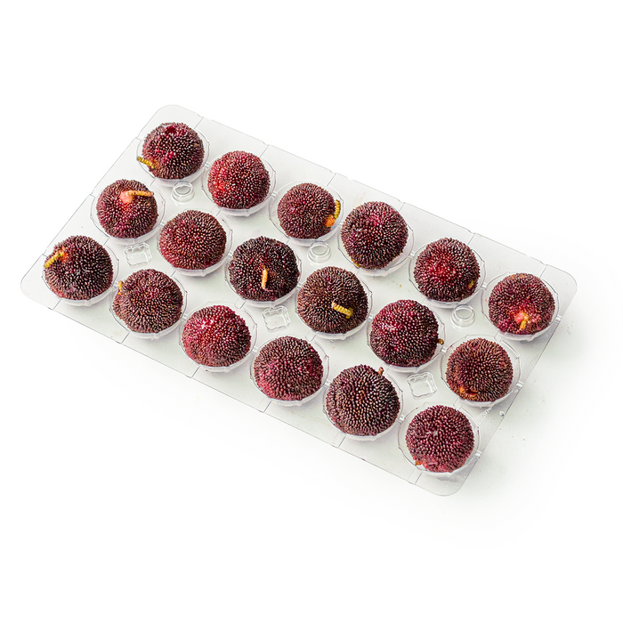 Dong Kui Bayberries (250g)
