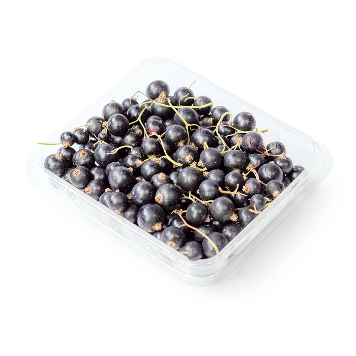 Black Currants (5oz)