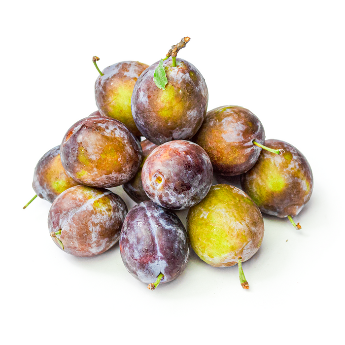 Blue Plums (2lbs)