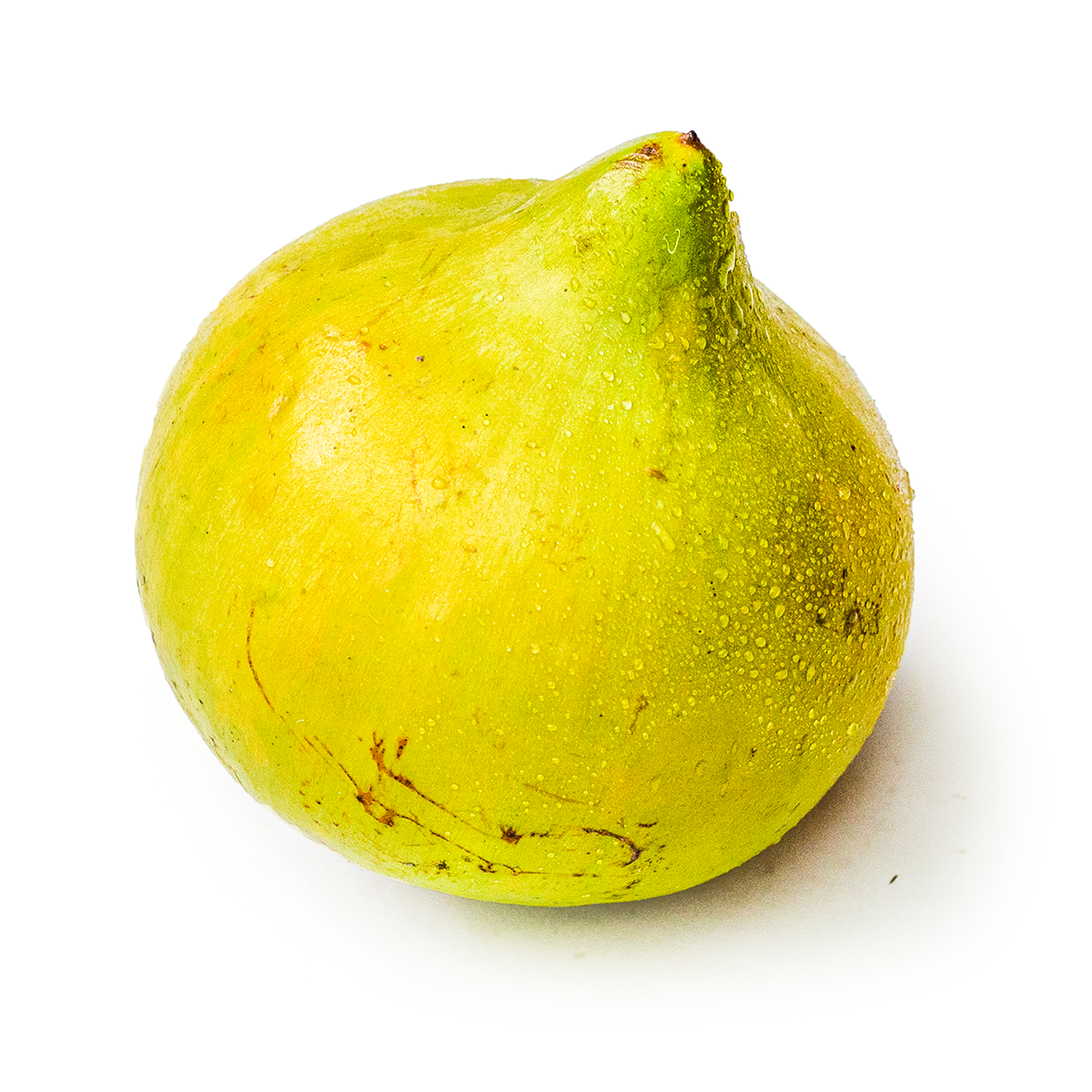 果物 GAT Fruter | Buy Egg Fruit Online Canada