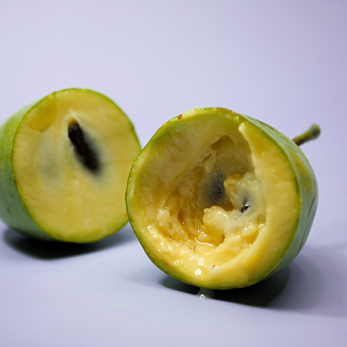 What is Pawpaw?