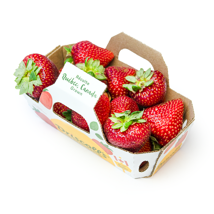 Quebec Strawberries (1lb)