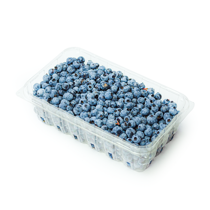 Wild Blueberries (1lb)