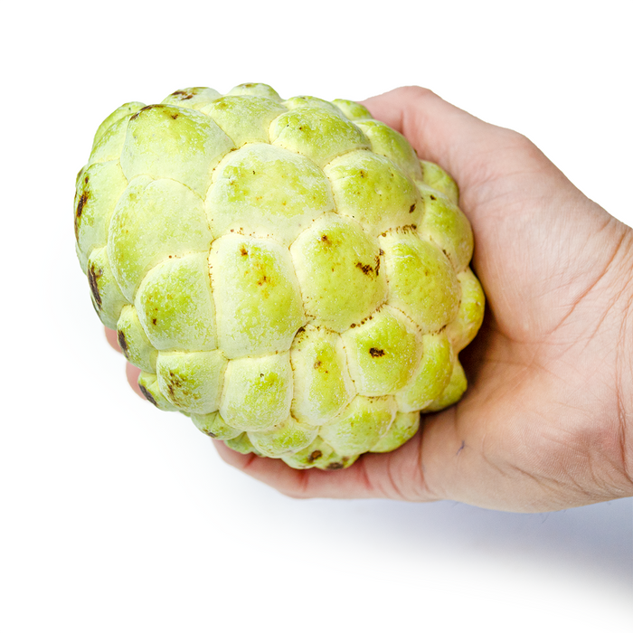 Egyptian Custard Apple