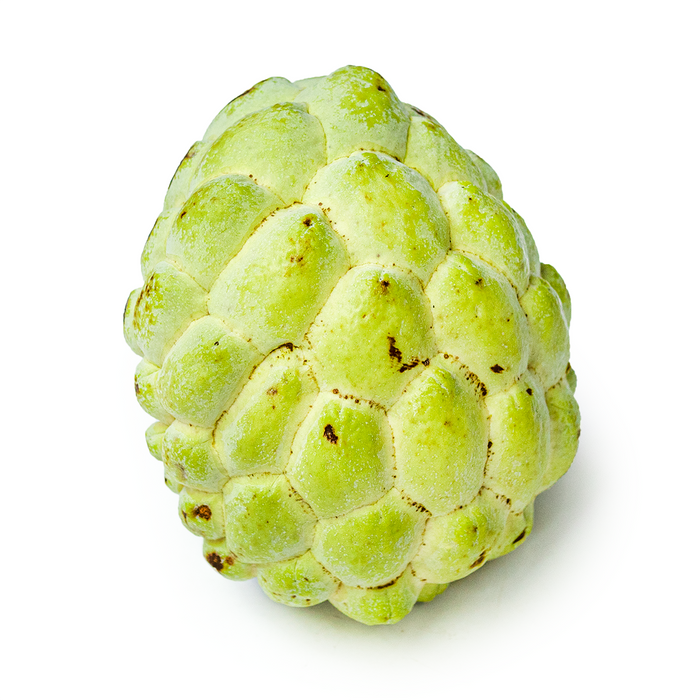 Egyptian Custard Apple