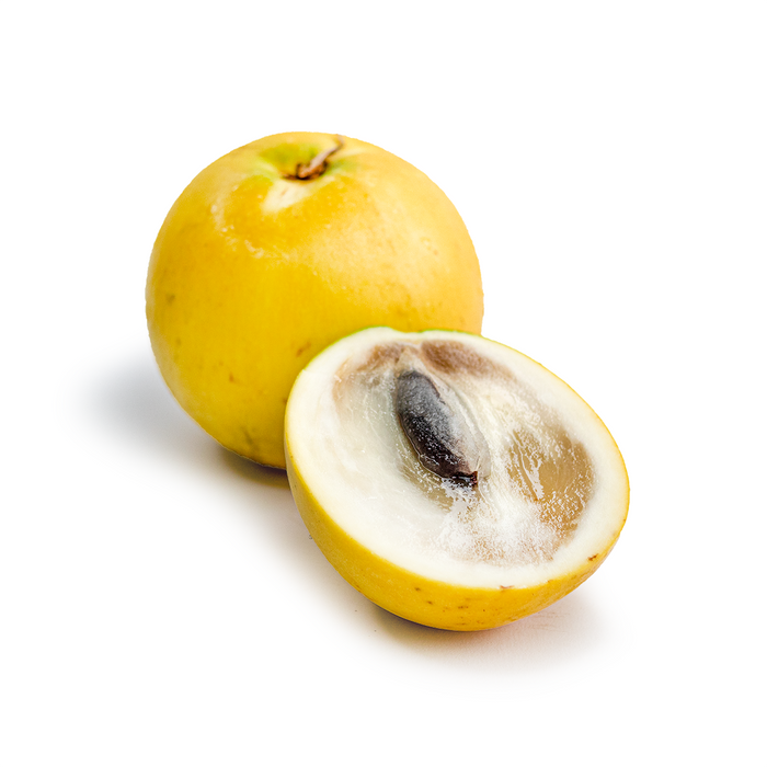 Golden Milk Fruit (Abiu)