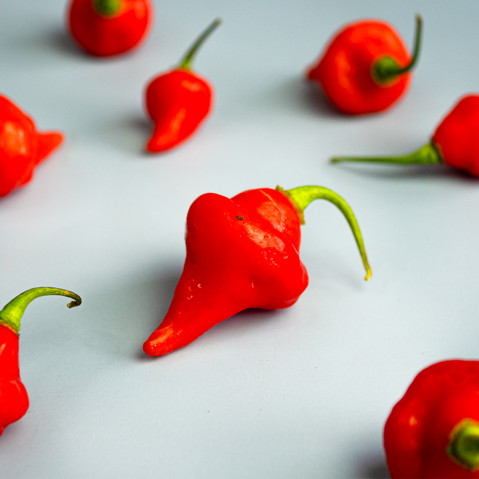 "Beg For Death" Hot Peppers (4oz)