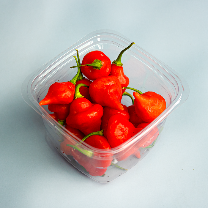 "Beg For Death" Hot Peppers (4oz)