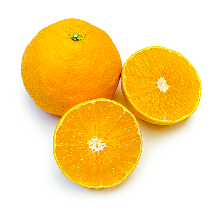 Sweet Jelly Orange