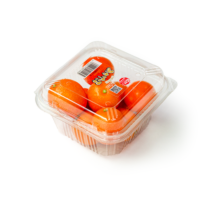 Japanese Kumquat